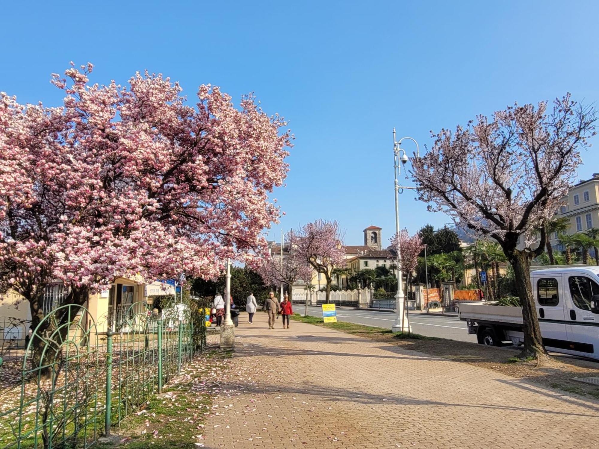 Al Dolce Vita Stresa Buitenkant foto